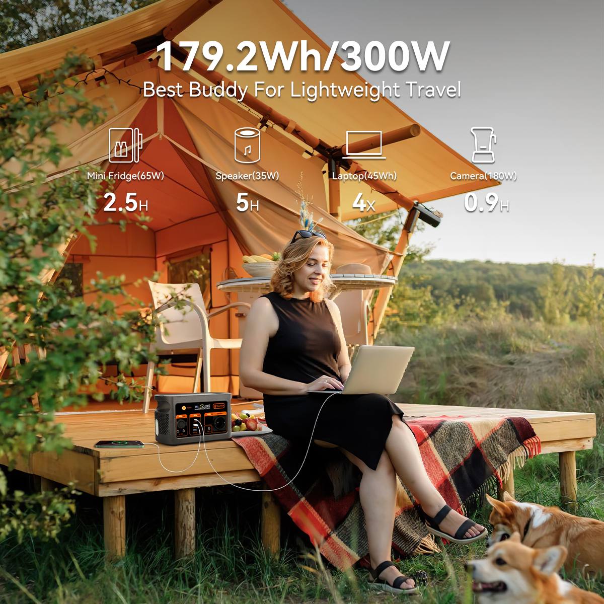 300W pure sine wave solar gene - Portable Power Station avis et prix