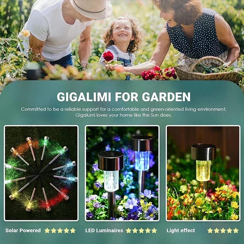 Solar Outdoor Lights Garden La - Renewable Energy Solar avis et prix