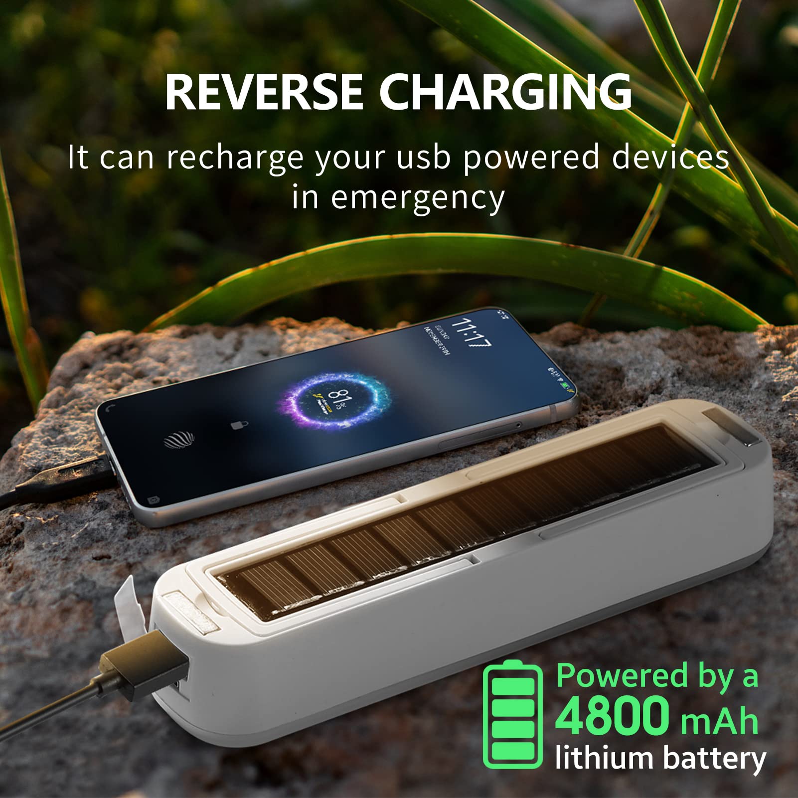 Solar Rechargeable Camping Lan - Renewable Energy House avis et prix