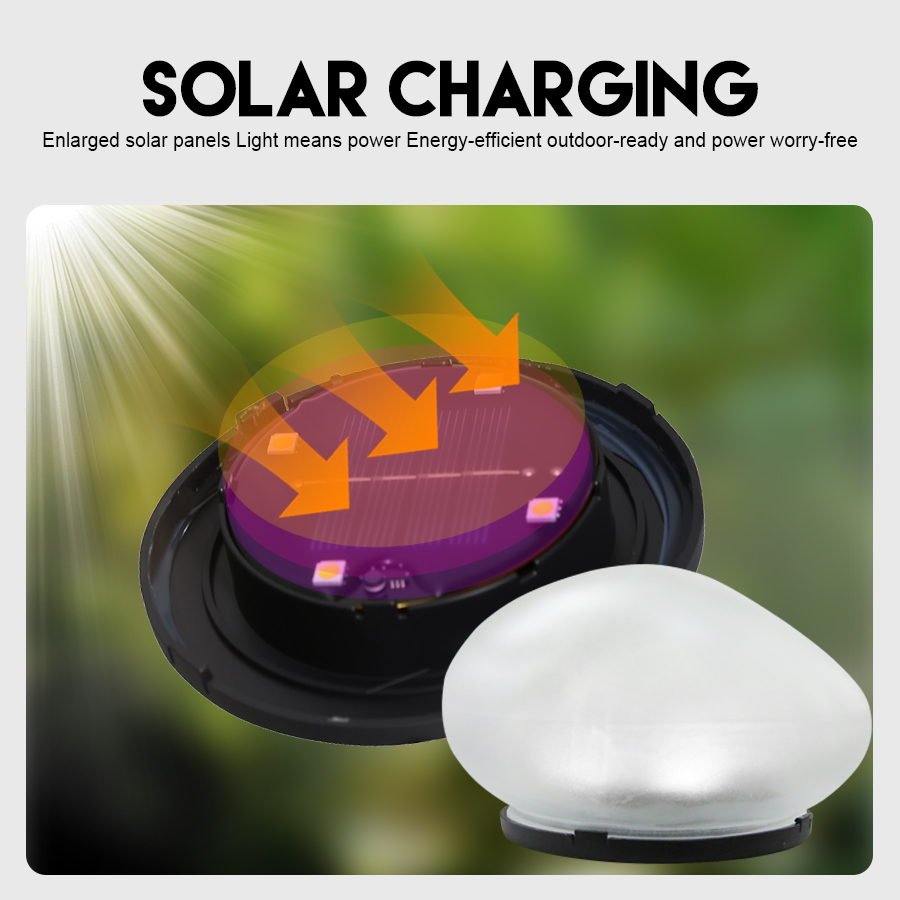 Solar Decorative Lamp Frosted  - Renewable Energy House avis et prix